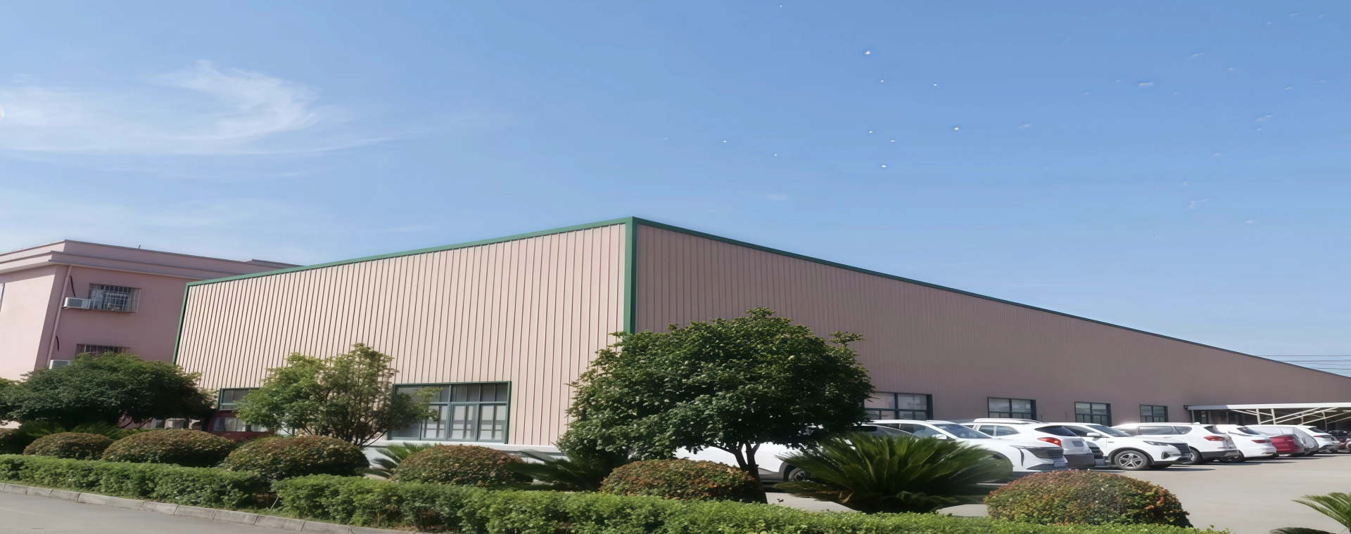 High-Quality Plastic Transfer Pipettes - Manufacturer & Supplier